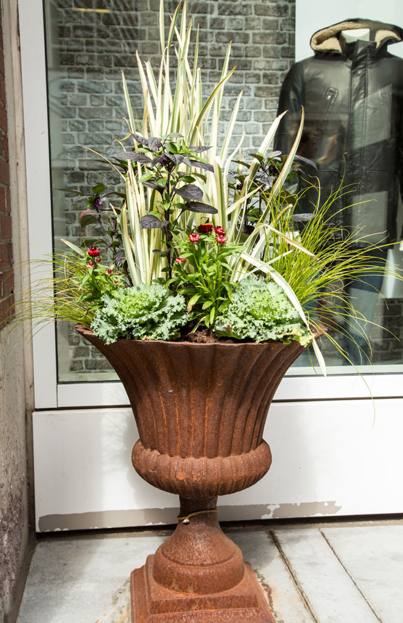 Fall Containers by Schumacher Companies