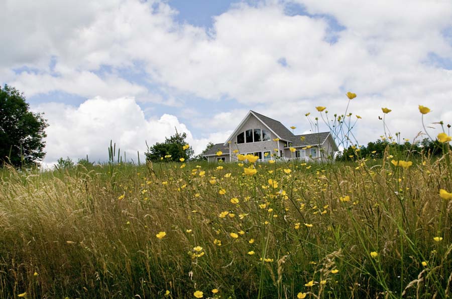 Breath of Fresh Air: Springtime in the Mountains