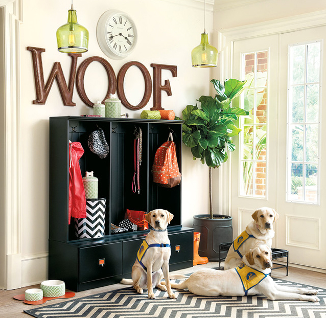 How To Create a Pet-Friendly Home