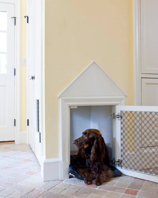 How To Create a Pet-Friendly Home